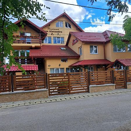 Pensiunea Casa Alexandra Dornavátra Kültér fotó